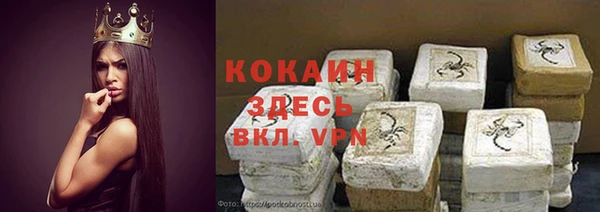 ГАЛЛЮЦИНОГЕННЫЕ ГРИБЫ Аркадак