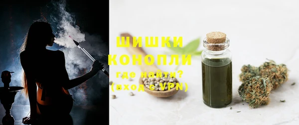 ГАЛЛЮЦИНОГЕННЫЕ ГРИБЫ Аркадак