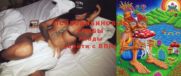 ГАЛЛЮЦИНОГЕННЫЕ ГРИБЫ Аркадак
